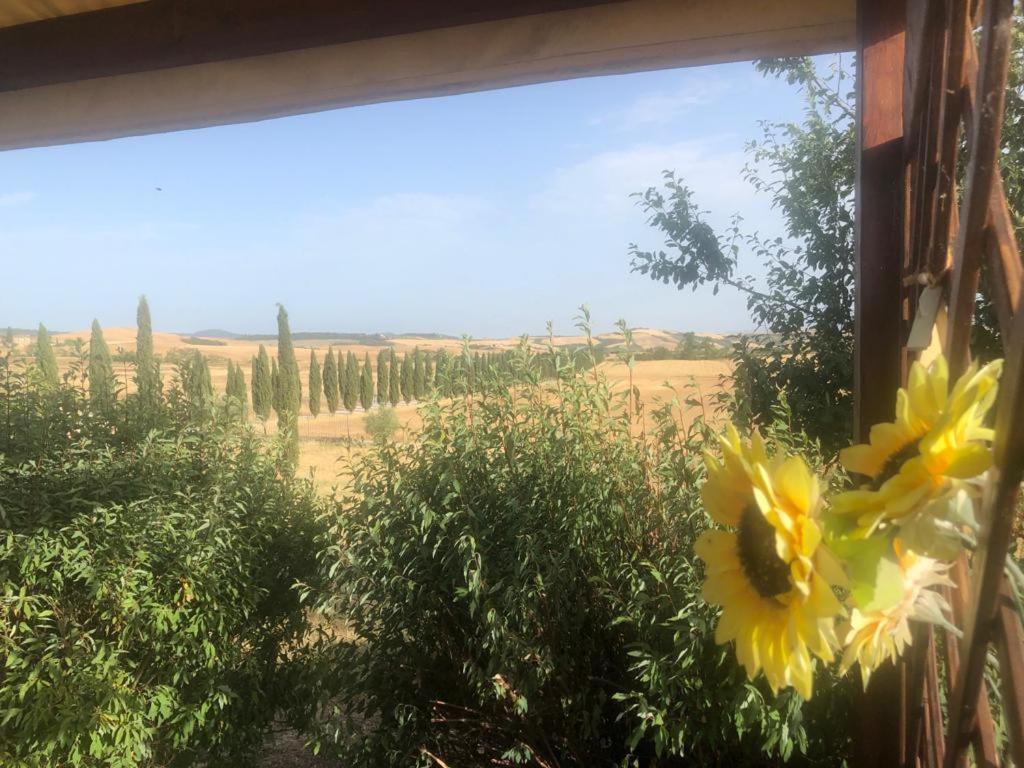 Casa Country House Girasole Vakantie Huis-Wakacje Huis アッシャーノ エクステリア 写真