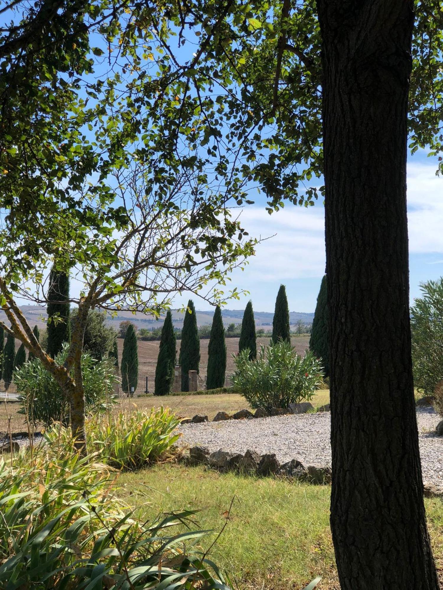 Casa Country House Girasole Vakantie Huis-Wakacje Huis アッシャーノ エクステリア 写真
